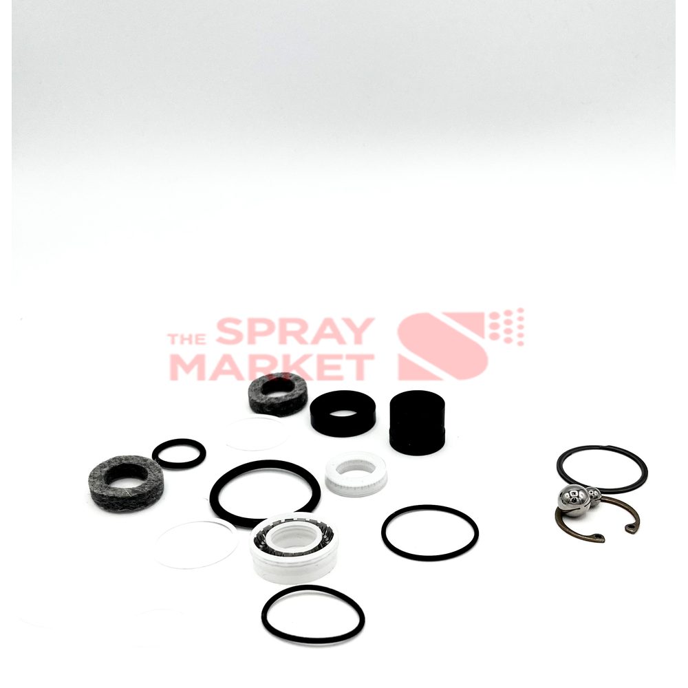 Graco Pmp E20/XP1 246420 Repair Kit