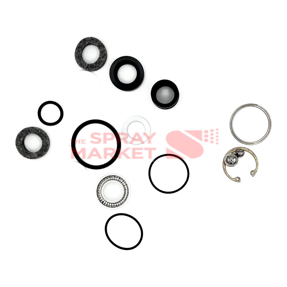 Graco Pmp E20/XP1 246420 Repair Kit - Image 2
