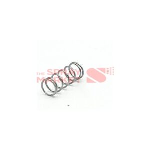 Graco .24 OD X 5/8 Long Spring - #31x
