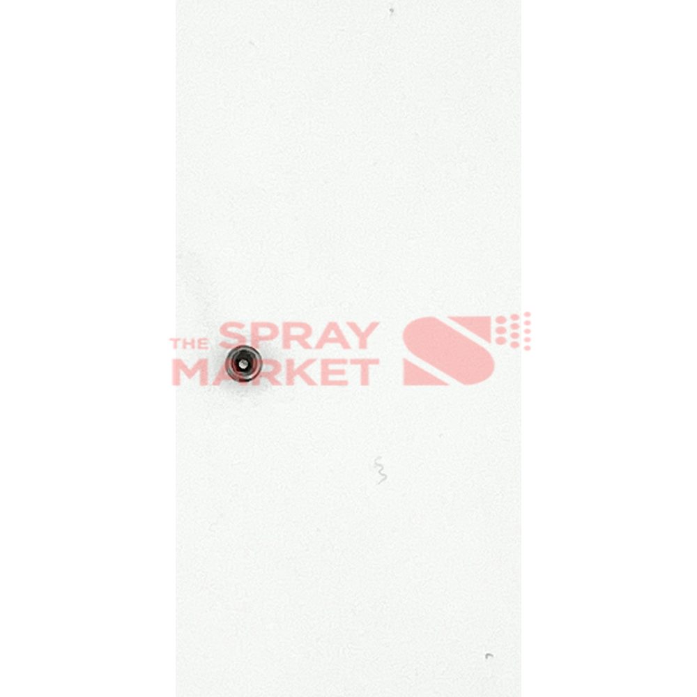 Graco Cppt .190-32X.250SE #55 Screw - Image 2