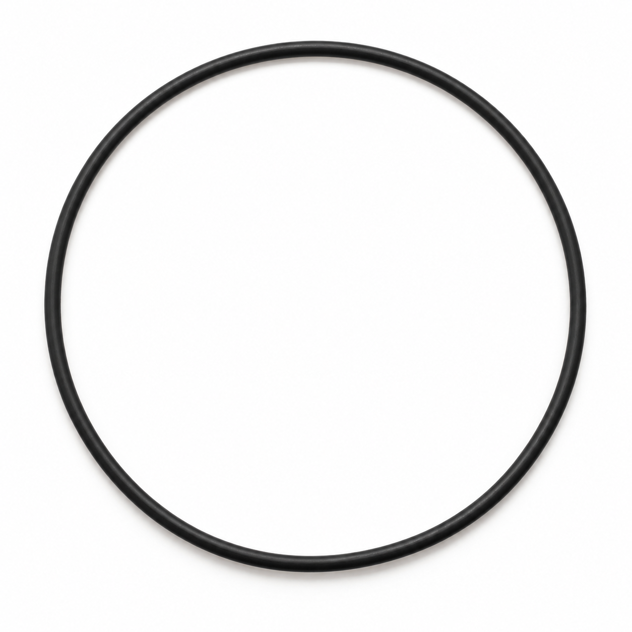 IPM 500066 black O-ring
