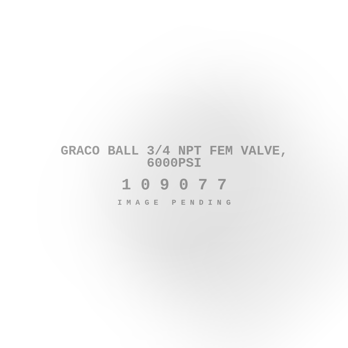 Graco Ball 3/4 NPT Fem Valve, 6000PSI