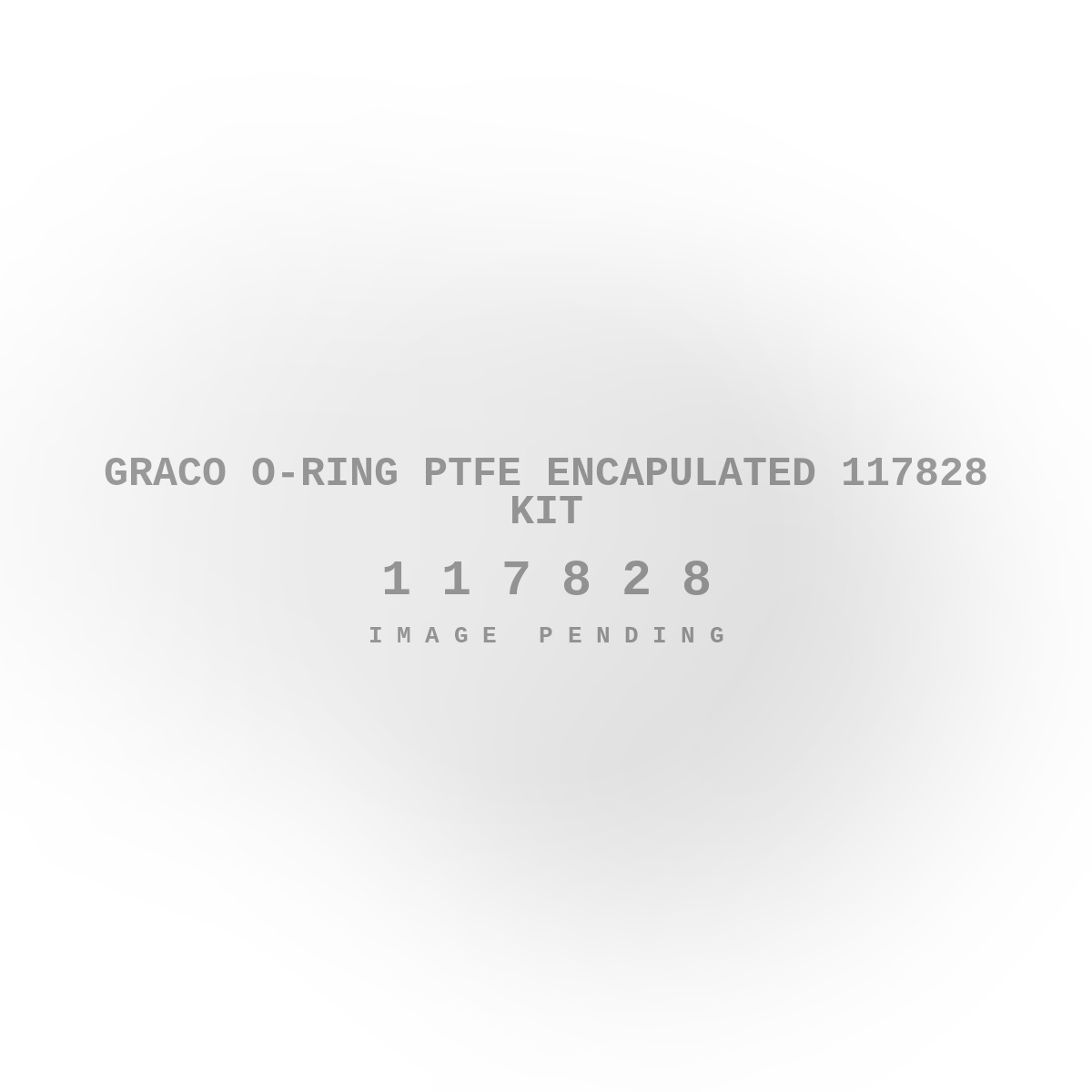 Graco O-Ring PTFE Encapulated 117828 Kit