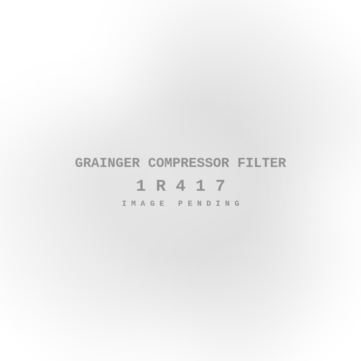 Grainger Compressor Filter