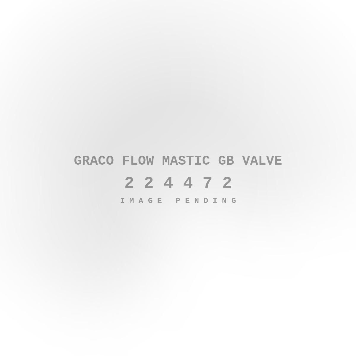 Graco Flow Mastic GB Valve