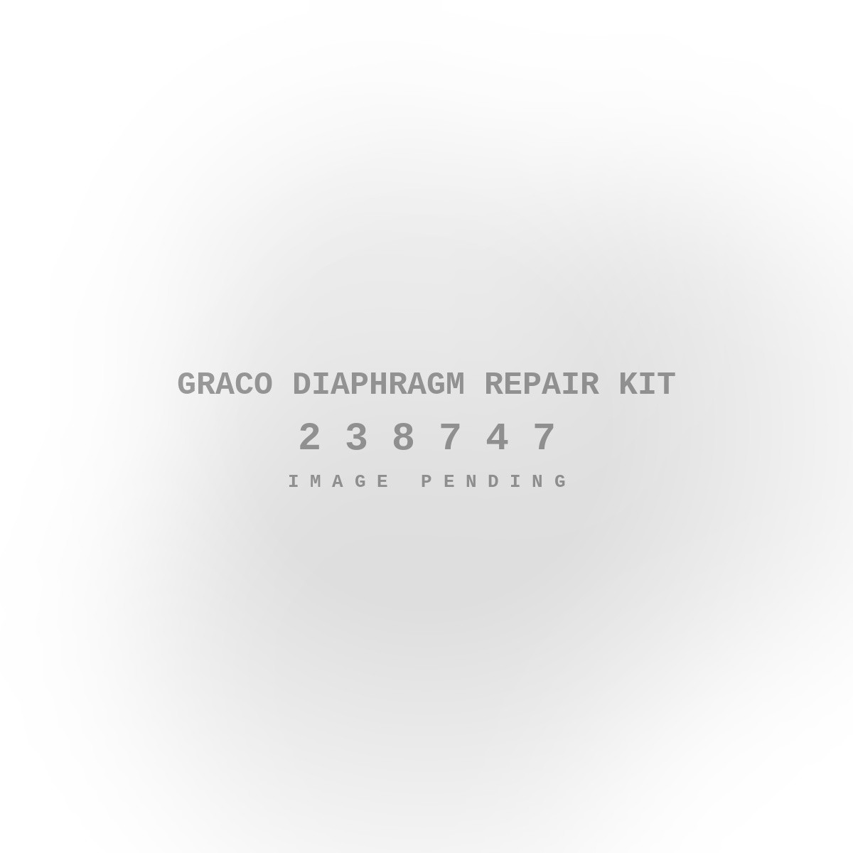Graco Diaphragm Repair Kit