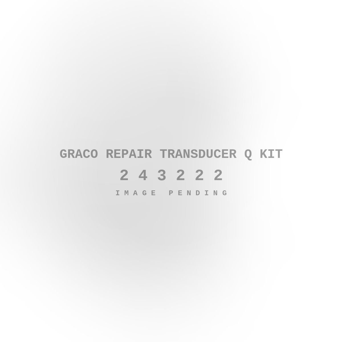 Graco Repair Transducer Q Kit