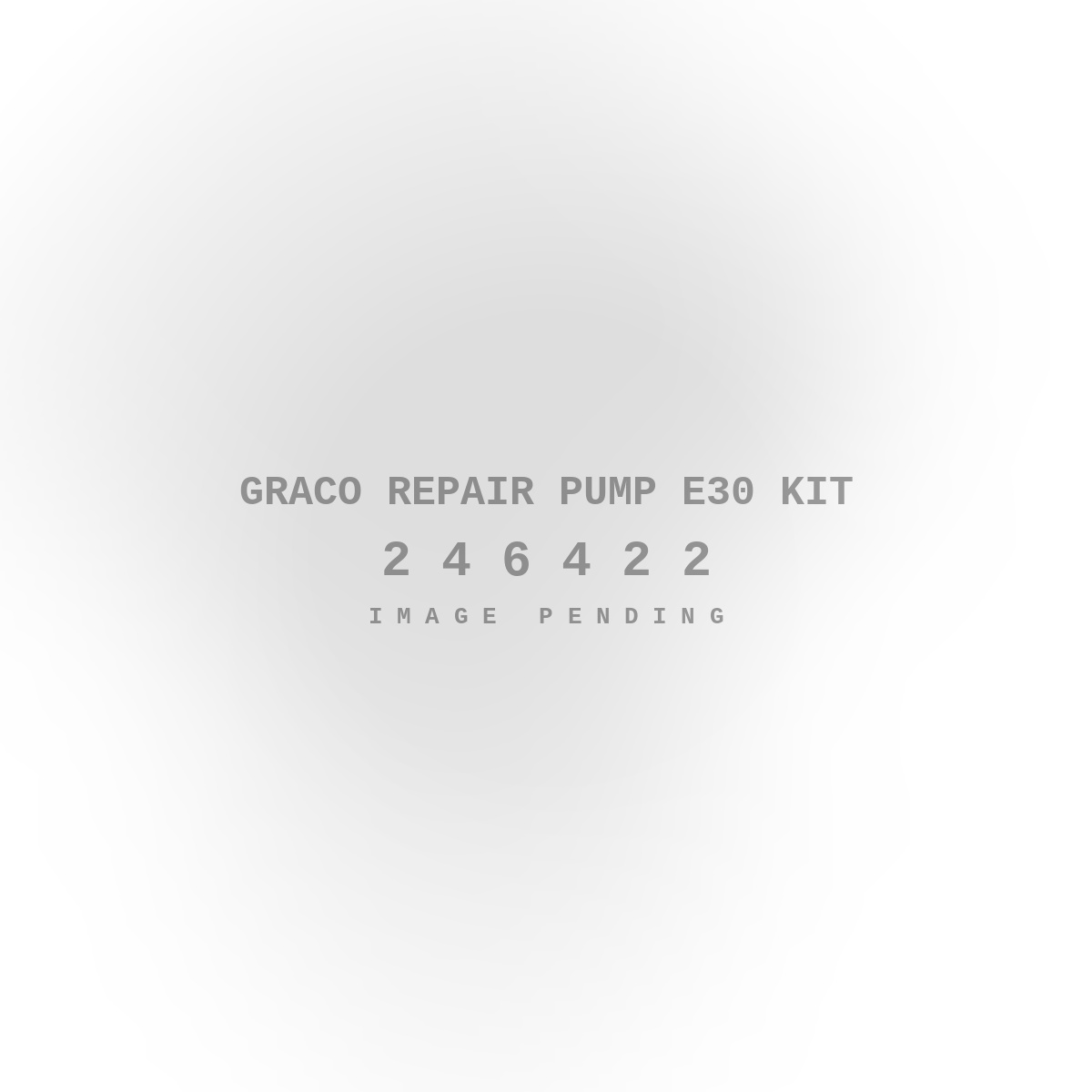 Graco Repair Pump E30 Kit