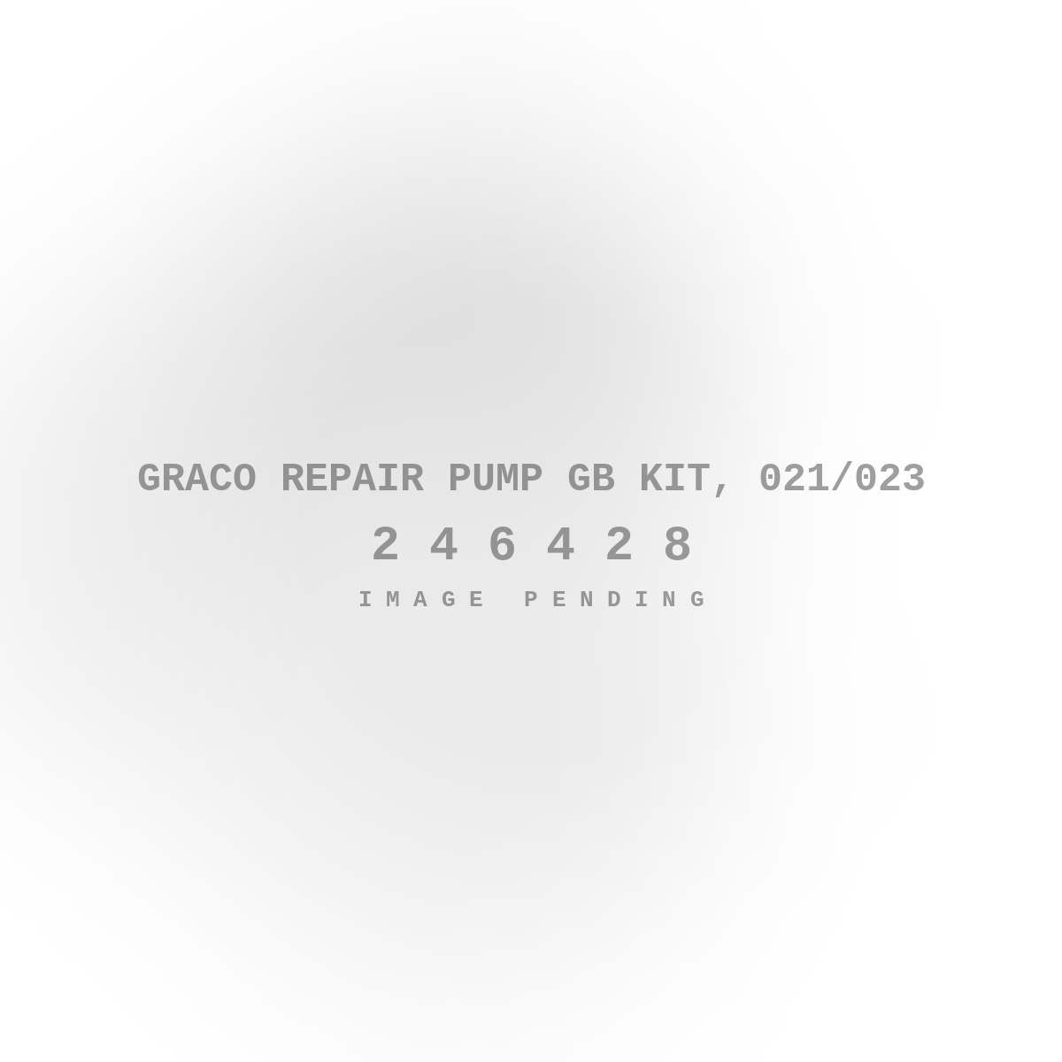 Graco Repair Pump GB Kit, 021/023