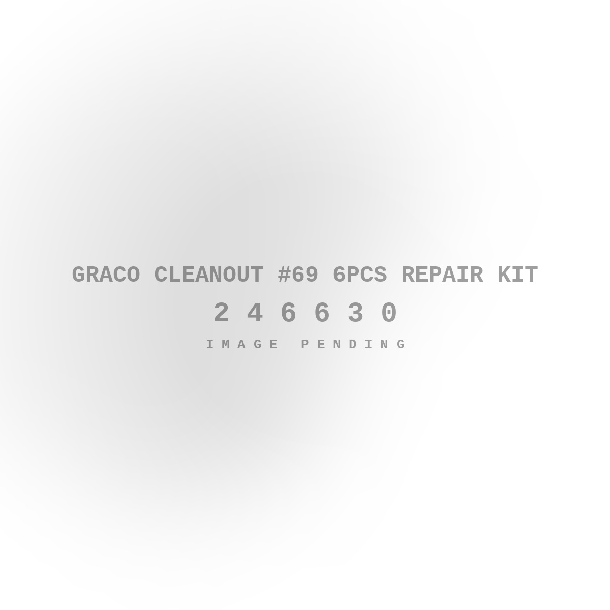 Graco Cleanout #69 6PCS Repair Kit