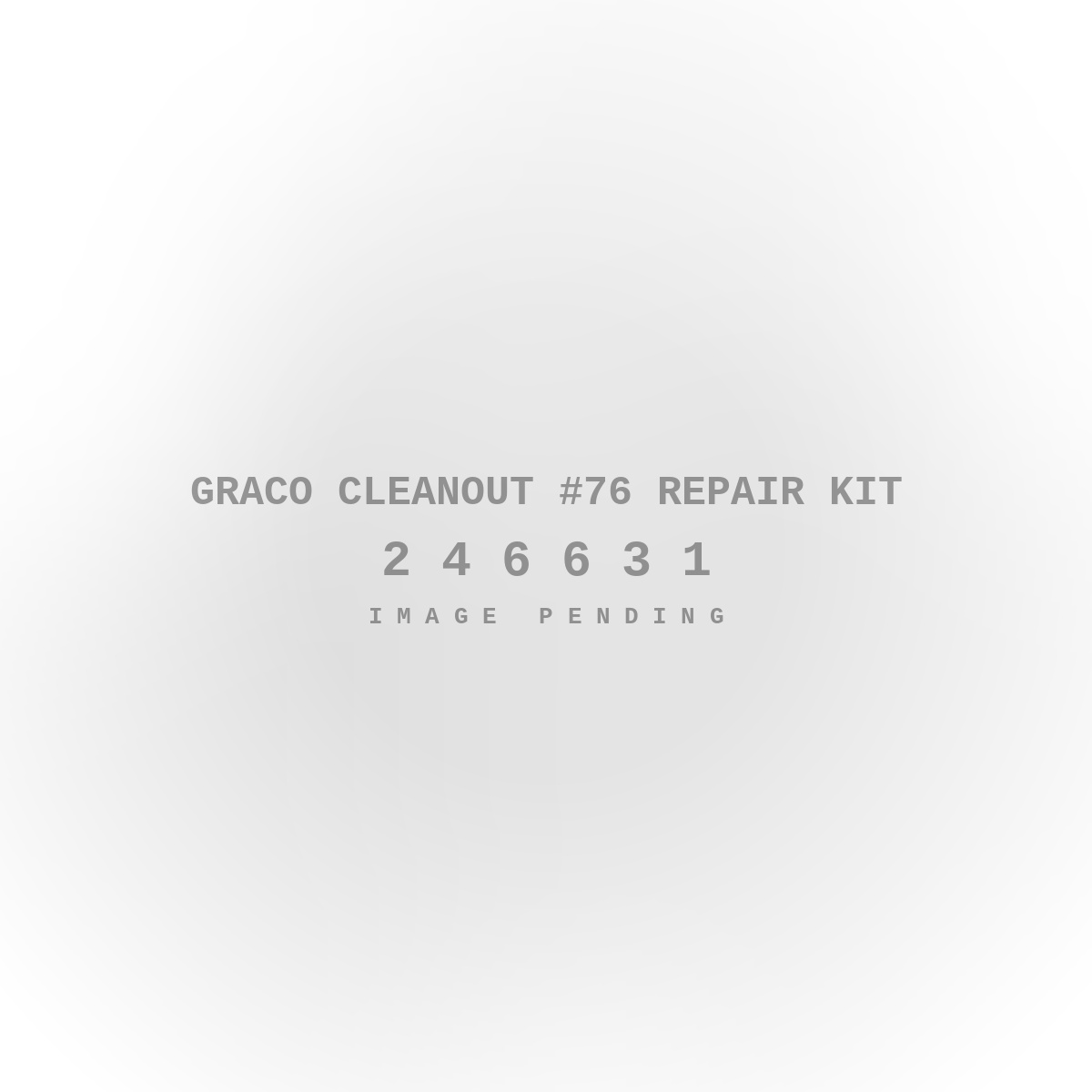 Graco Cleanout #76 Repair Kit