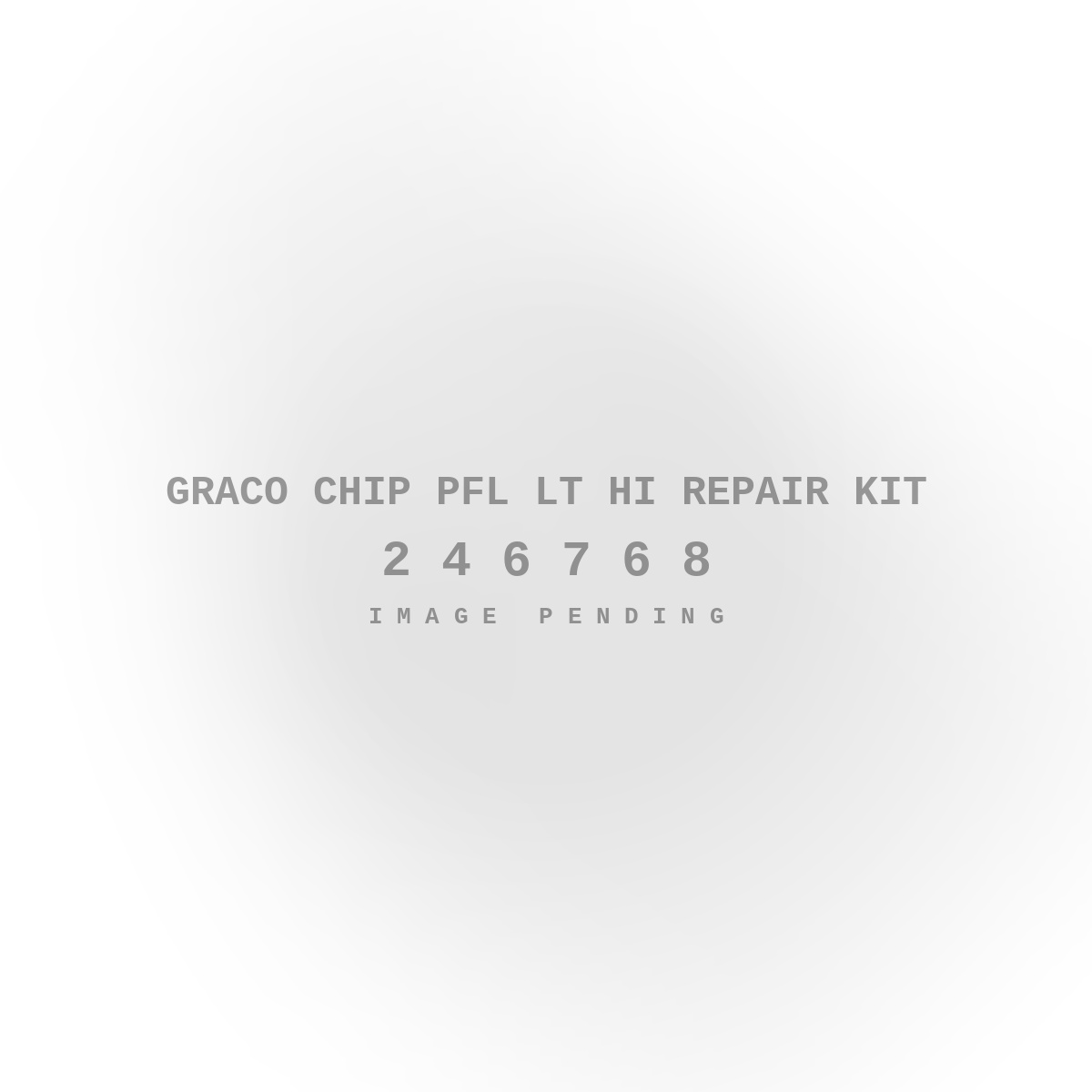 Graco Chip Pfl LT HI Repair Kit