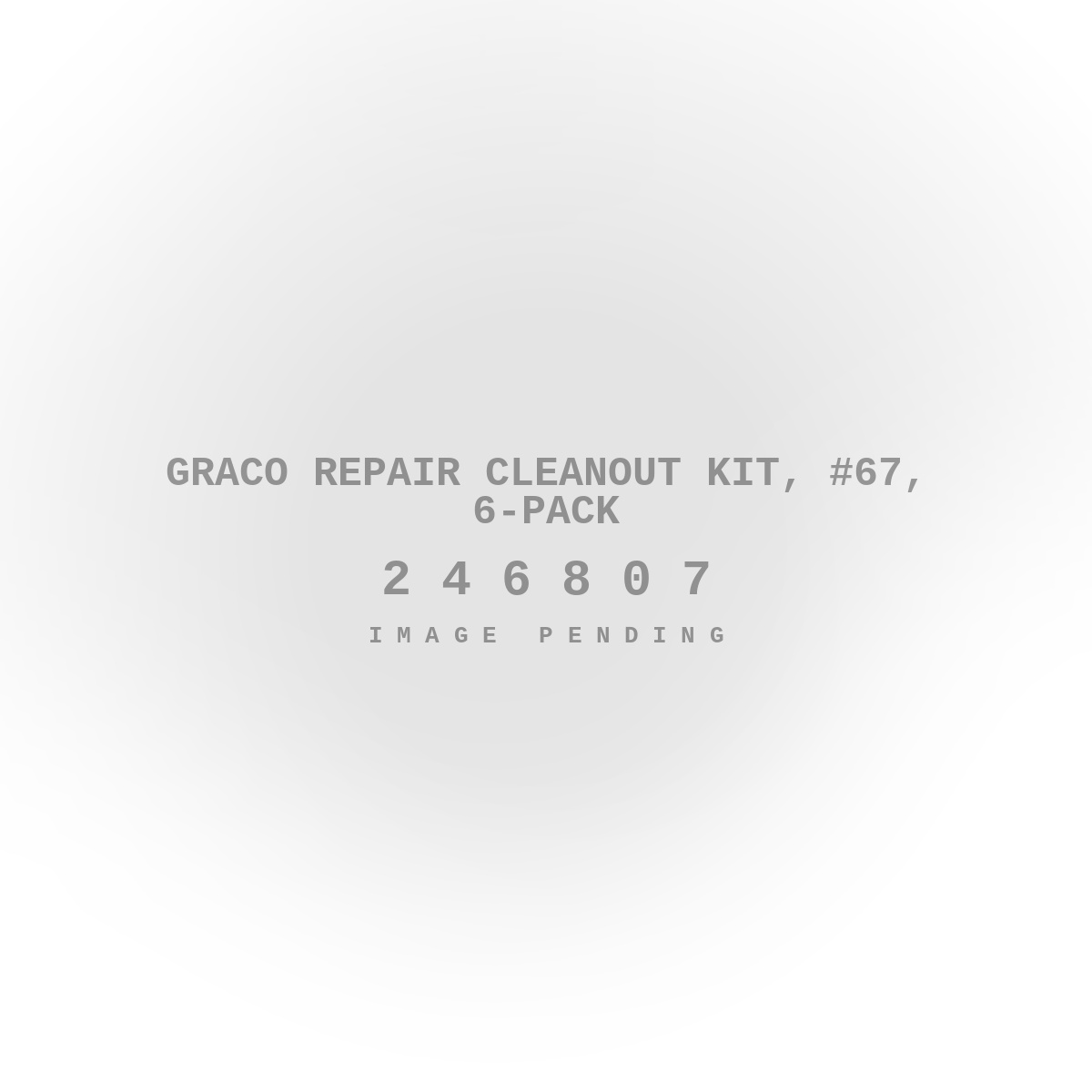 Graco Repair Cleanout Kit, #67, 6-Pack