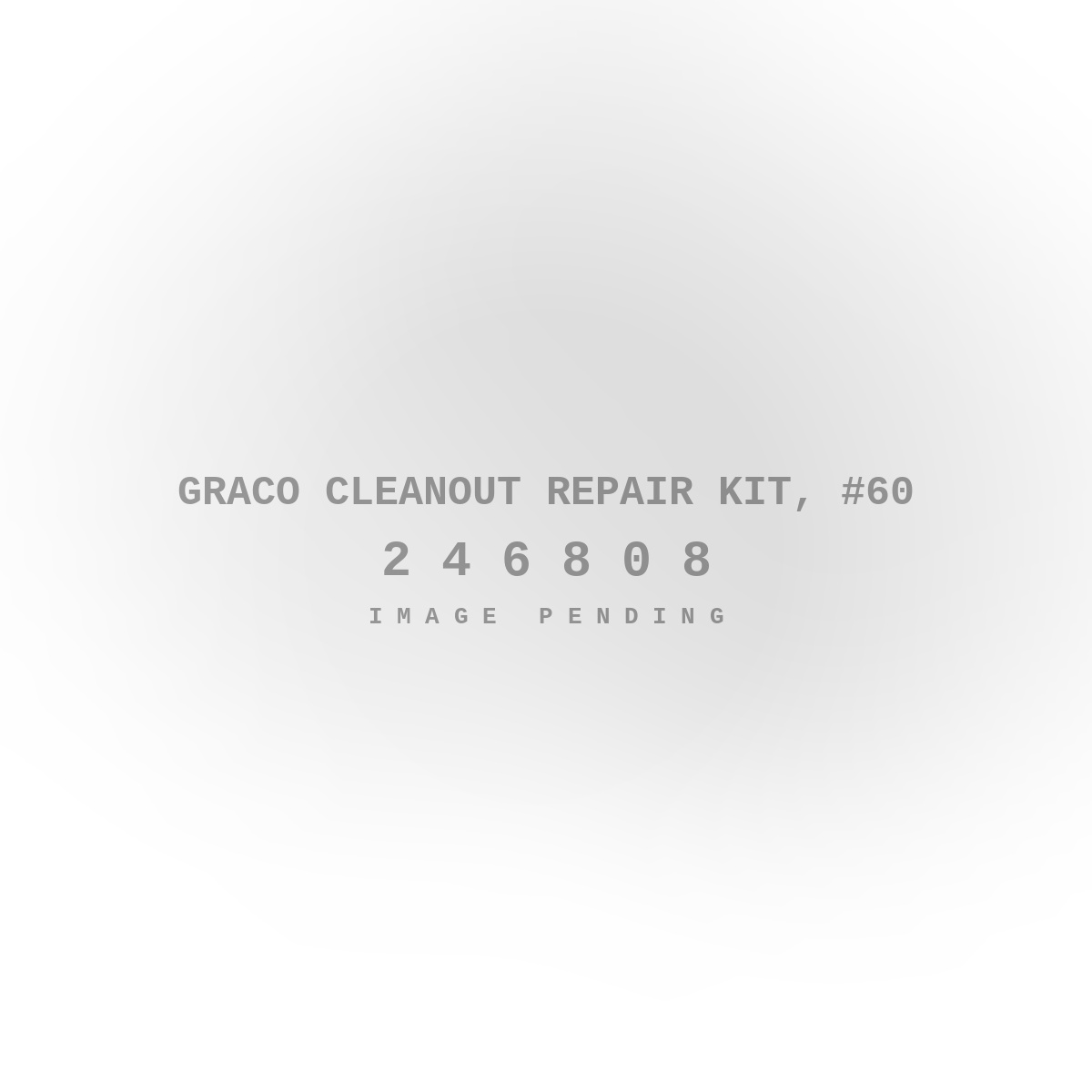 Graco Cleanout Repair Kit, #60