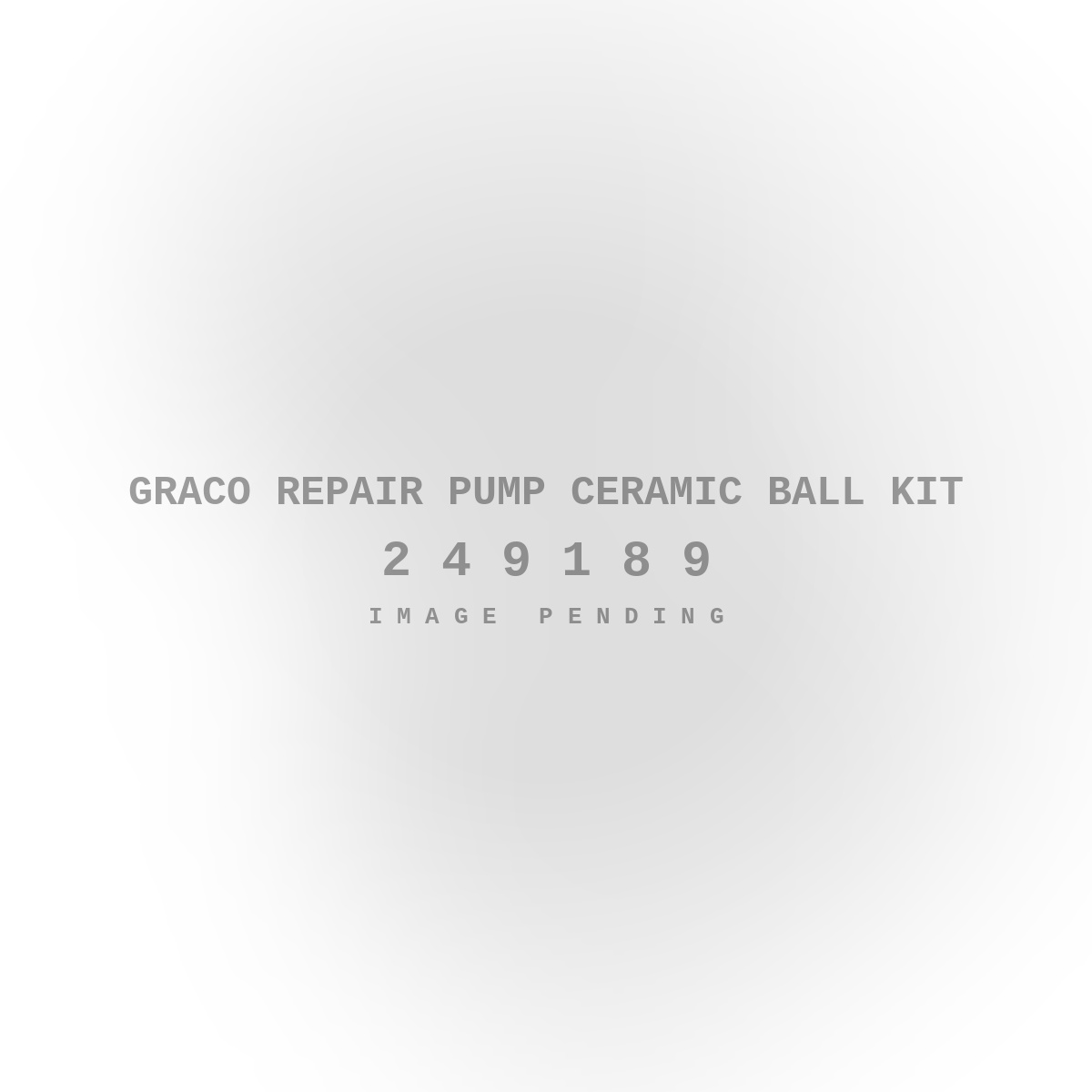 Graco Repair Pump Ceramic Ball Kit