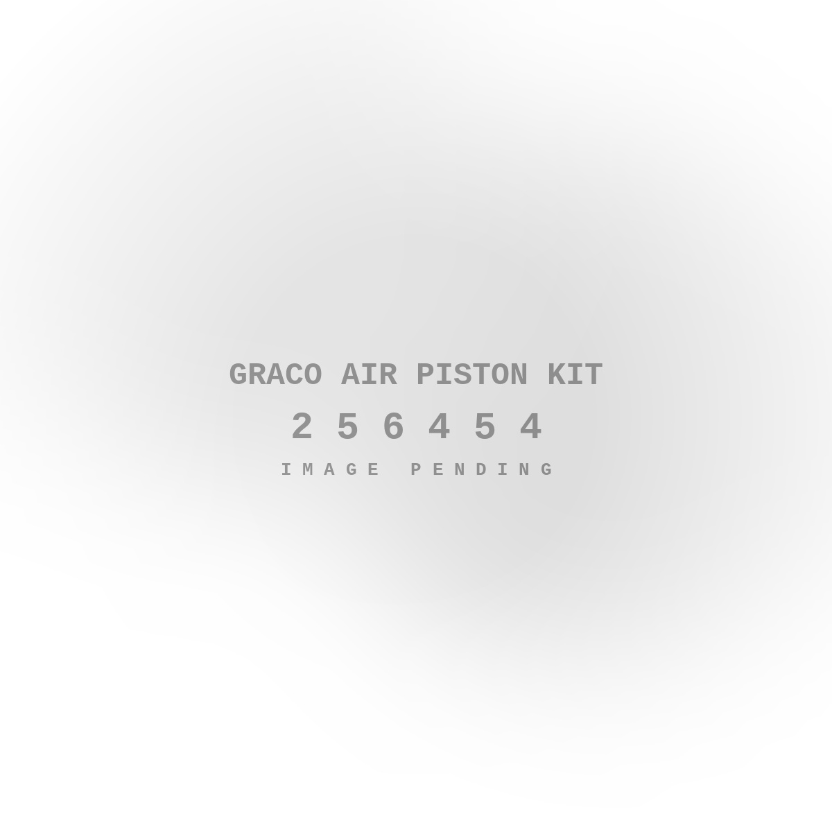 Graco Air Piston Kit