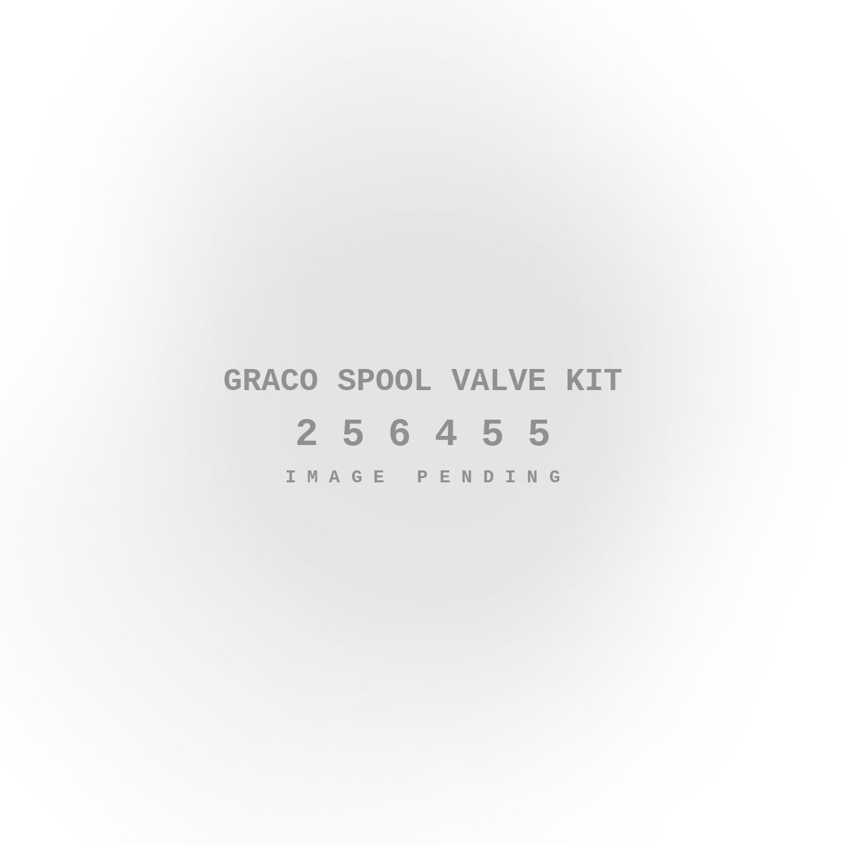 Graco Spool Valve Kit