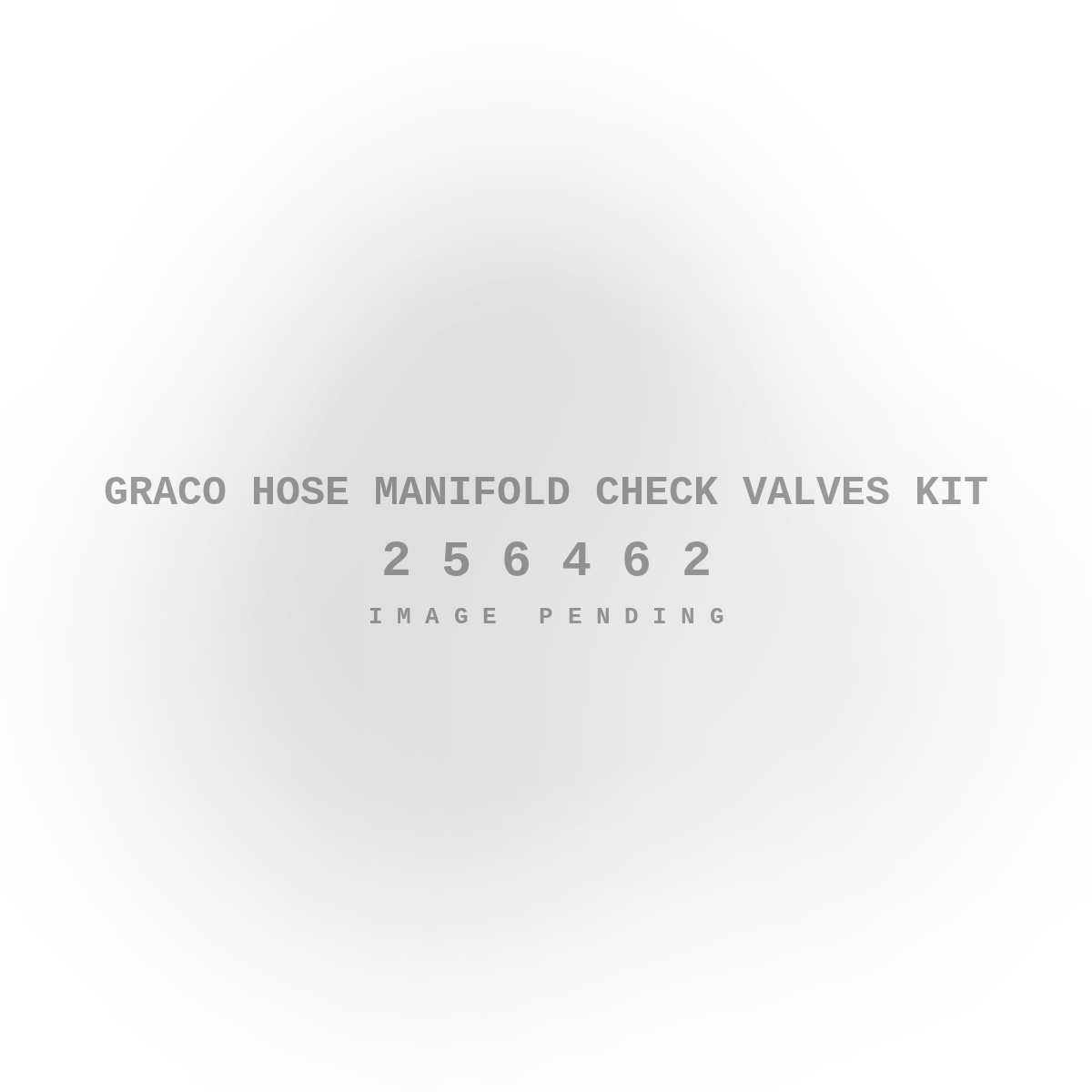 Graco Hose Manifold Check Valves Kit