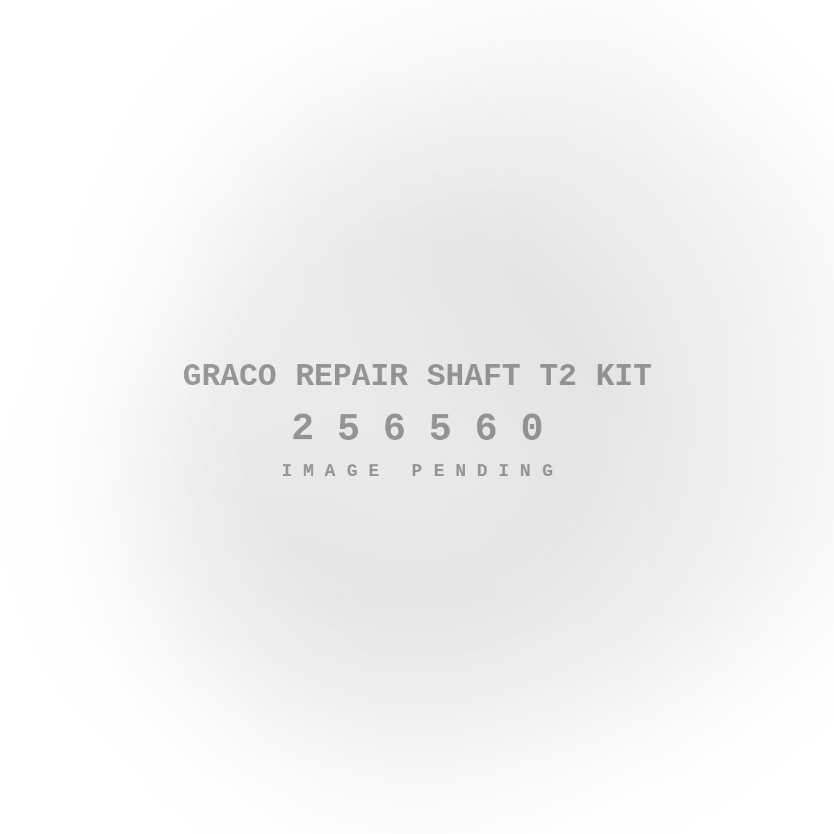 Graco Repair Shaft T2 Kit