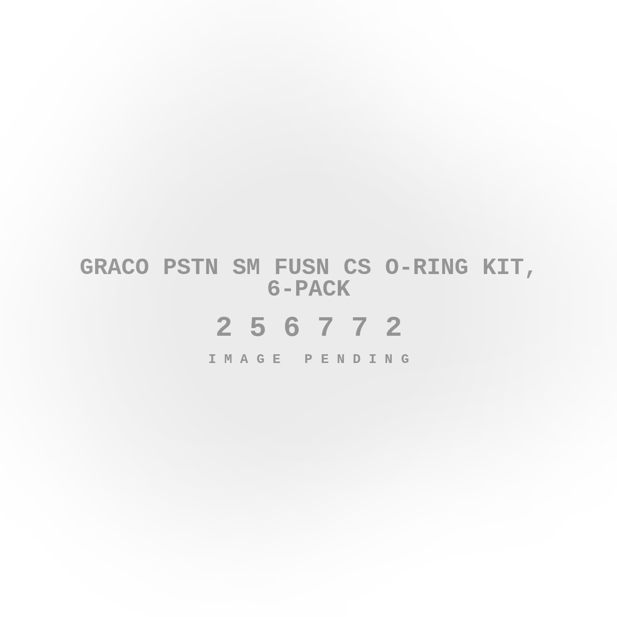 Graco Pstn SM Fusn CS O-Ring Kit, 6-Pack