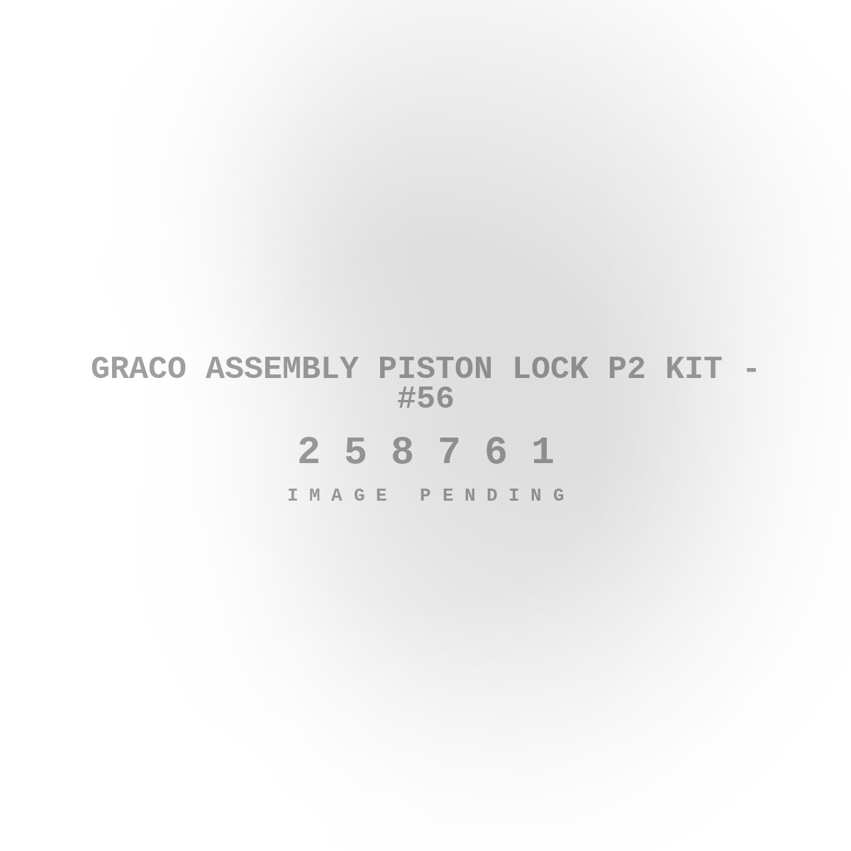 Graco Assembly Piston Lock P2 Kit - #56
