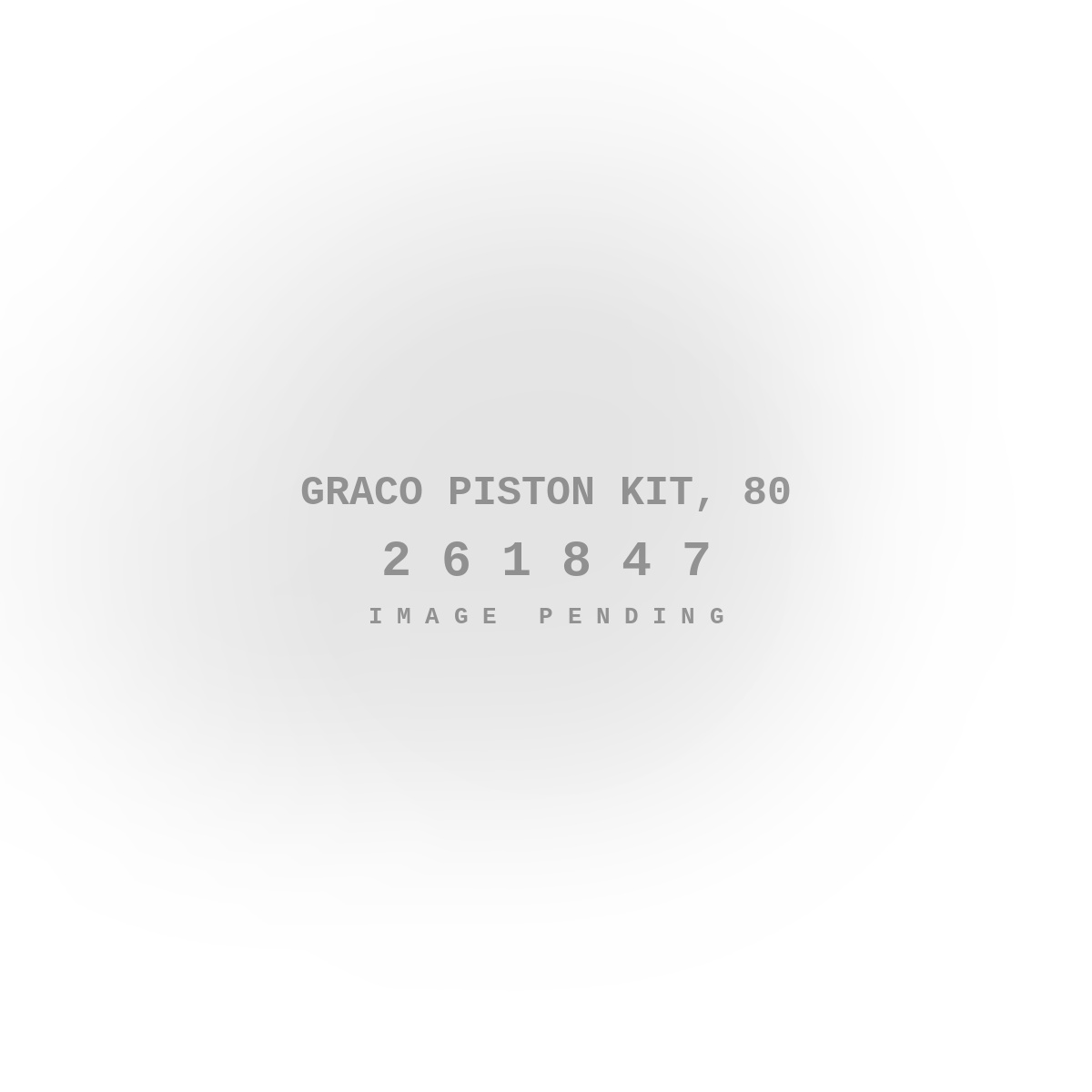 Graco Piston Kit, 80