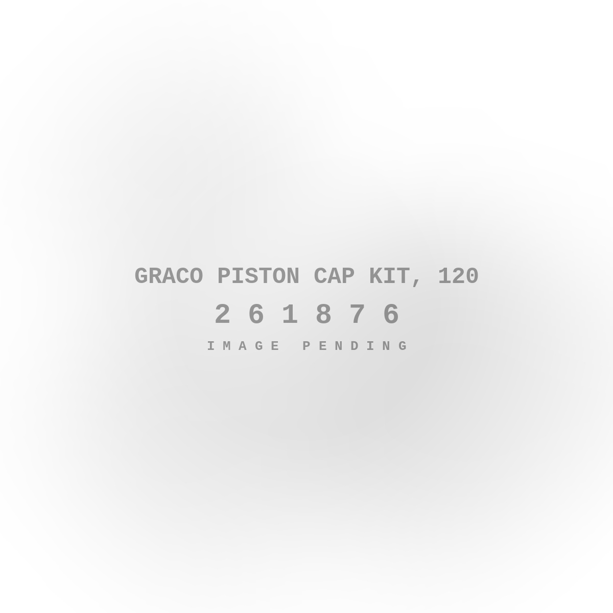 Graco Piston Cap Kit, 120