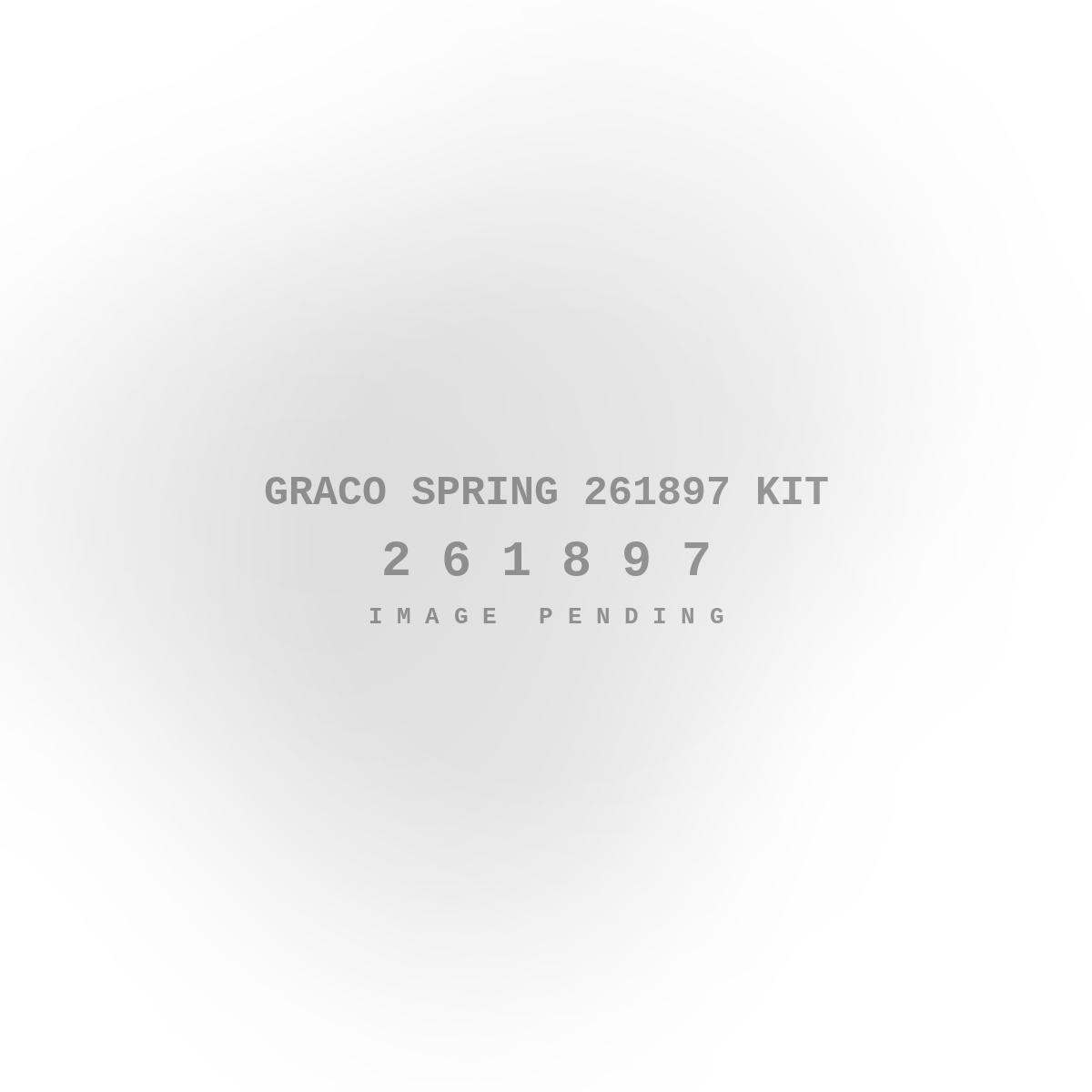 Graco Spring 261897 Kit