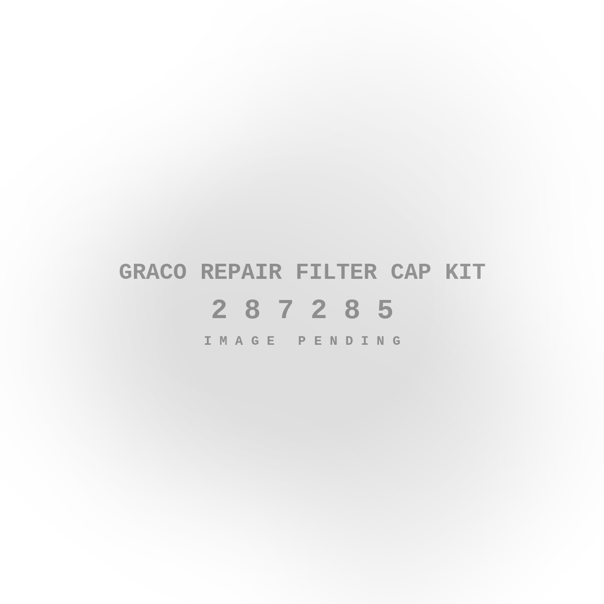 Graco Repair Filter Cap Kit