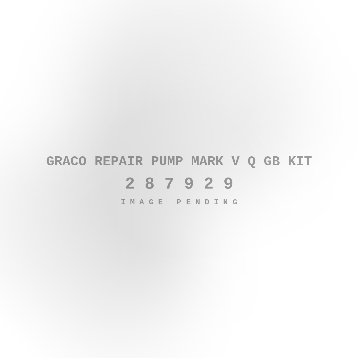 Graco Repair Pump Mark V Q GB Kit