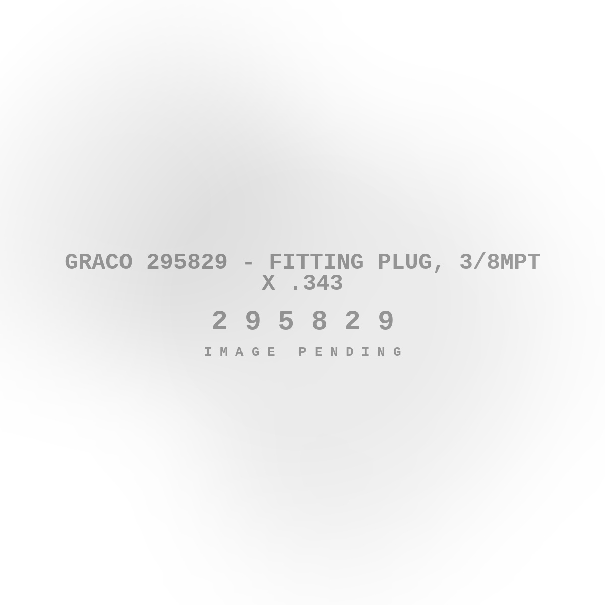 Graco 295829 - Fitting Plug, 3/8MPT X .343