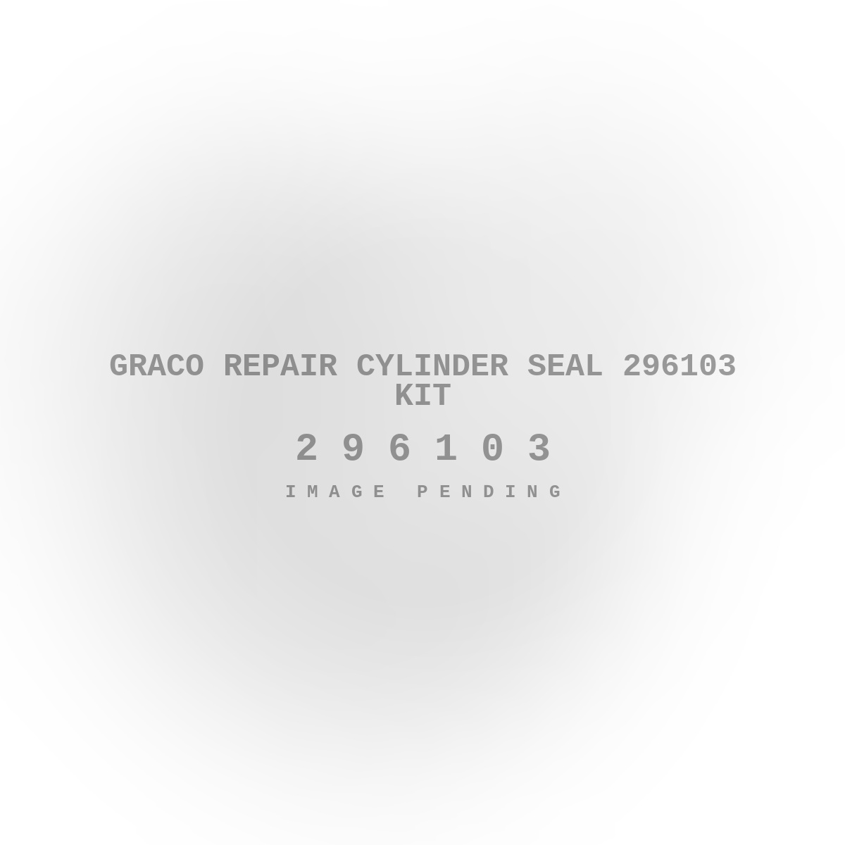 Graco Repair Cylinder Seal 296103 Kit