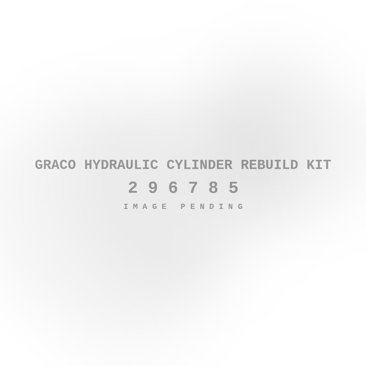 Graco Hydraulic Cylinder Rebuild Kit
