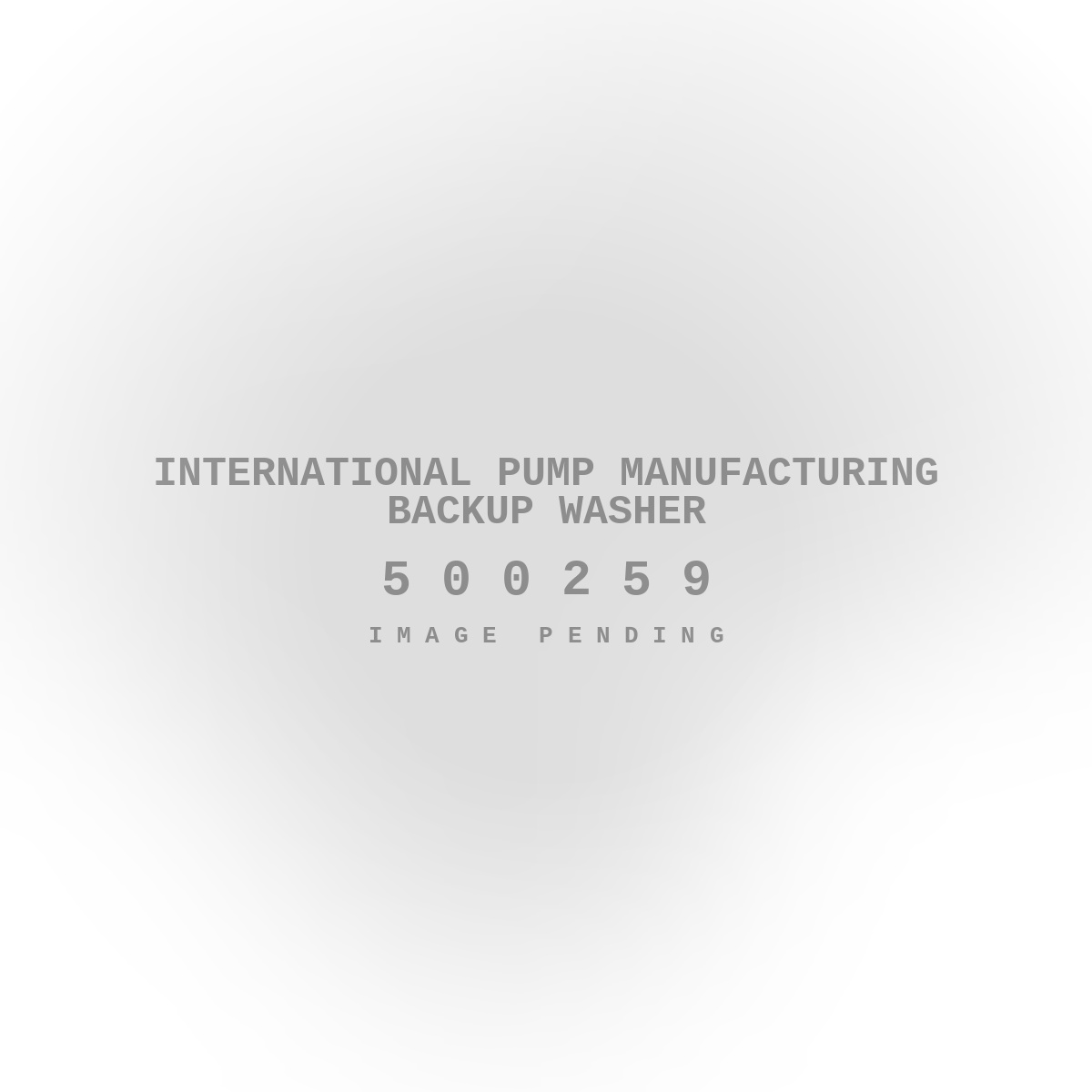 International Pump Manufacturing Backup Washer