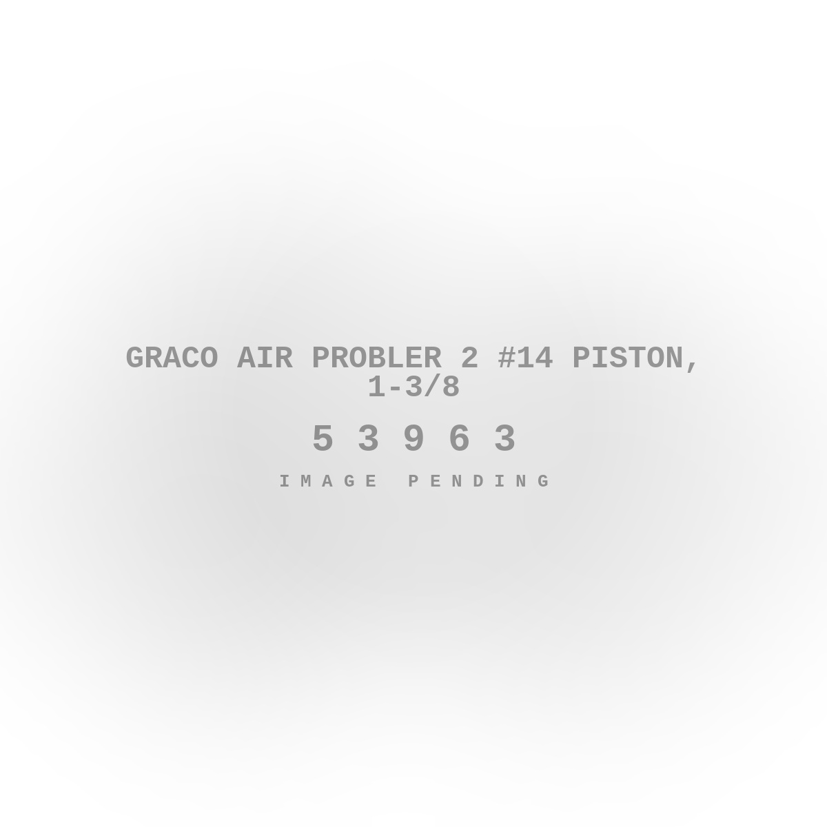 Graco Air Probler 2 #14 Piston, 1-3/8