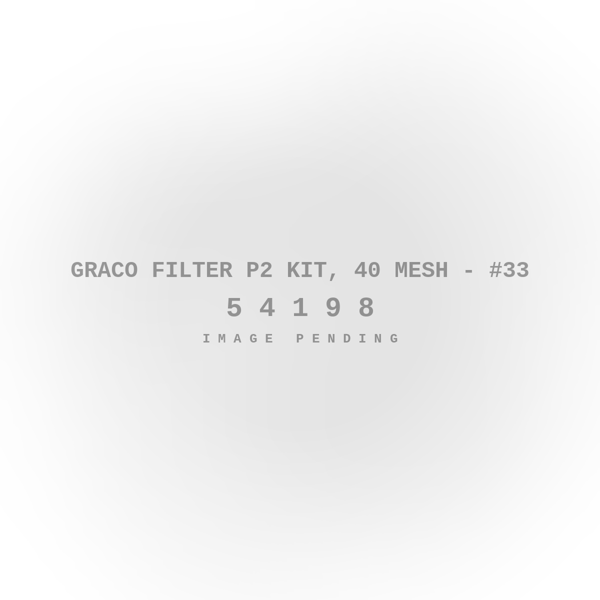 Graco Filter P2 Kit, 40 Mesh - #33