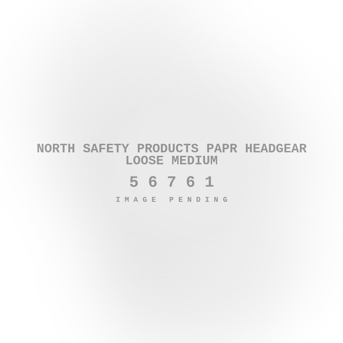 North Safety Products PAPR Headgear Loose Medium