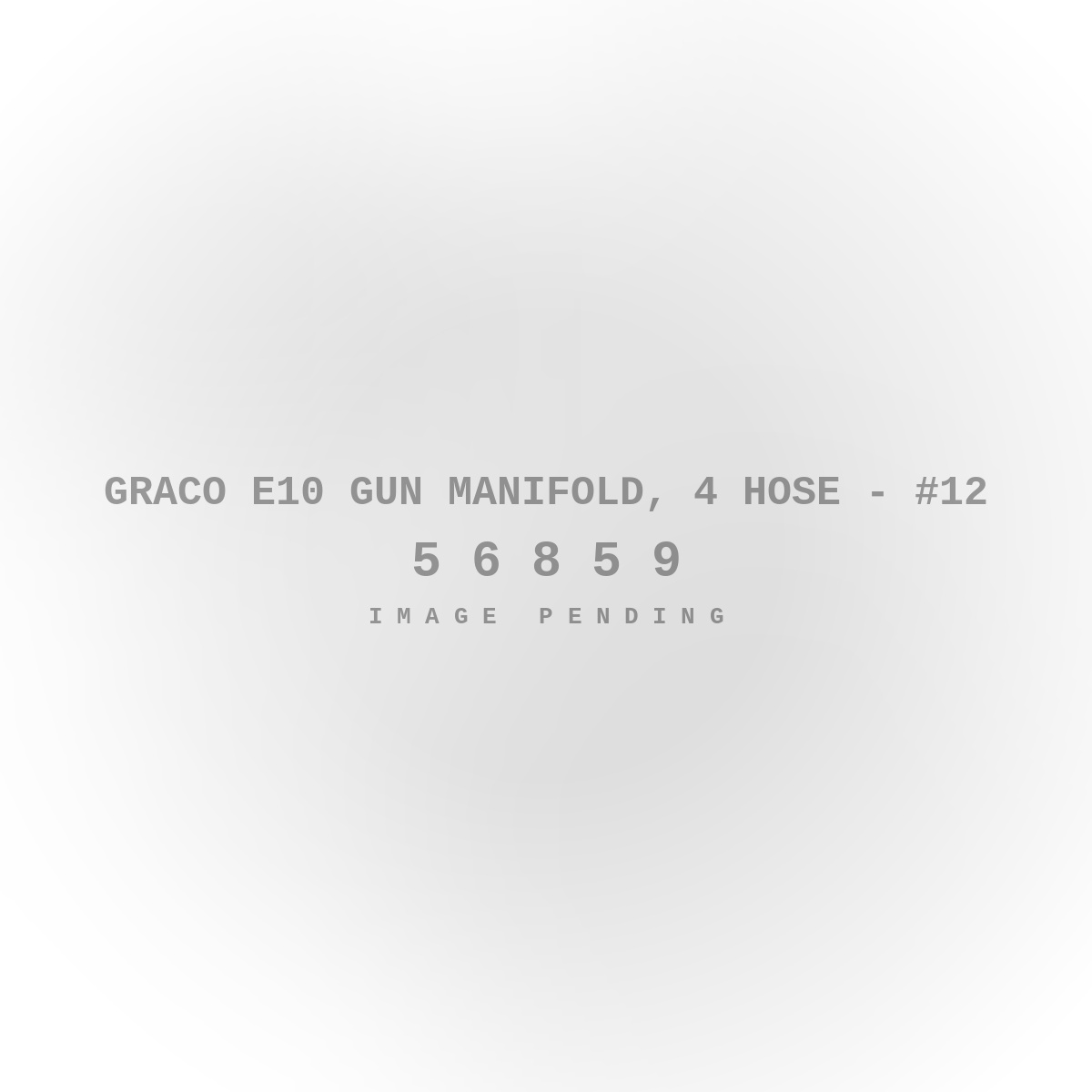 Graco E10 Gun Manifold, 4 Hose - #12
