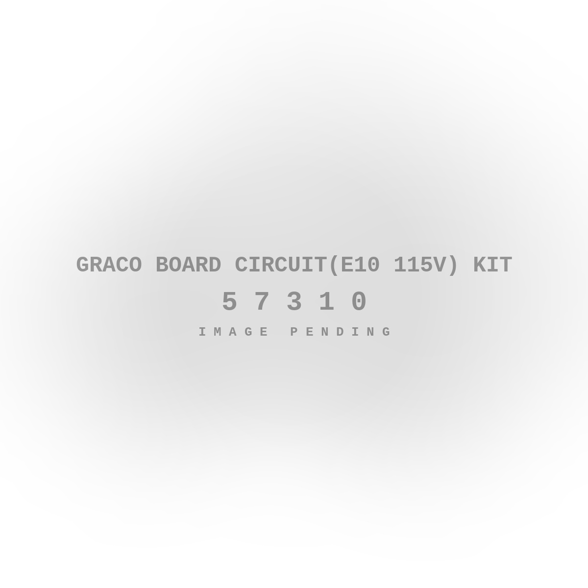Graco Board CIRCUIT(E10 115V) Kit