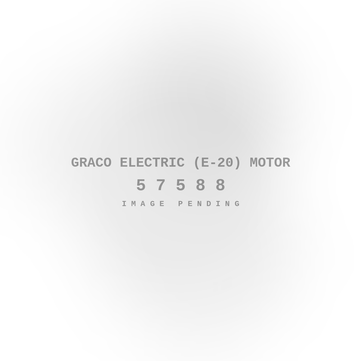 Graco Electric (E-20) Motor