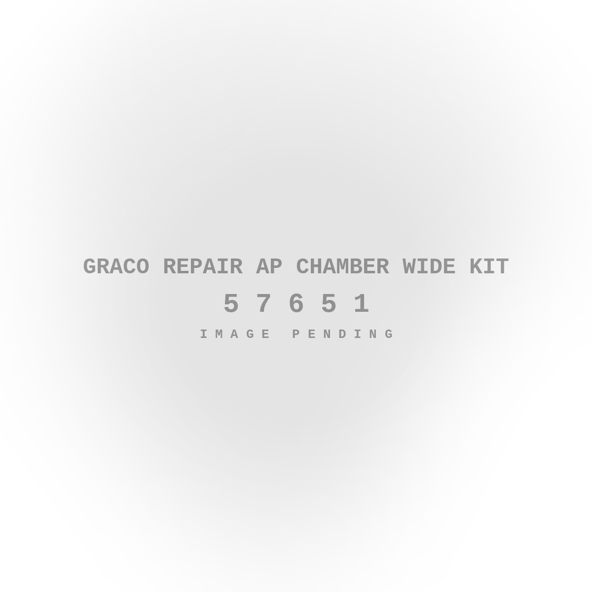 Graco Repair AP Chamber Wide Kit