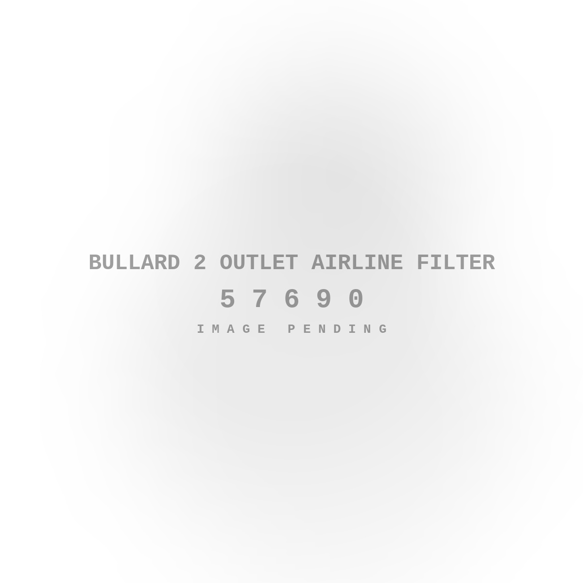 Bullard 2 Outlet Airline Filter