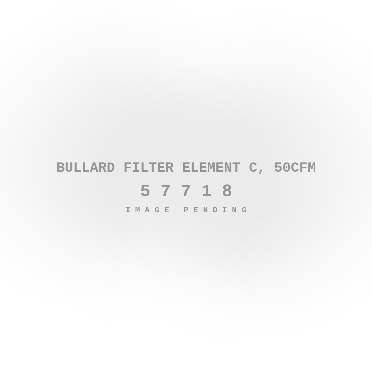 Bullard Filter Element C, 50CFM