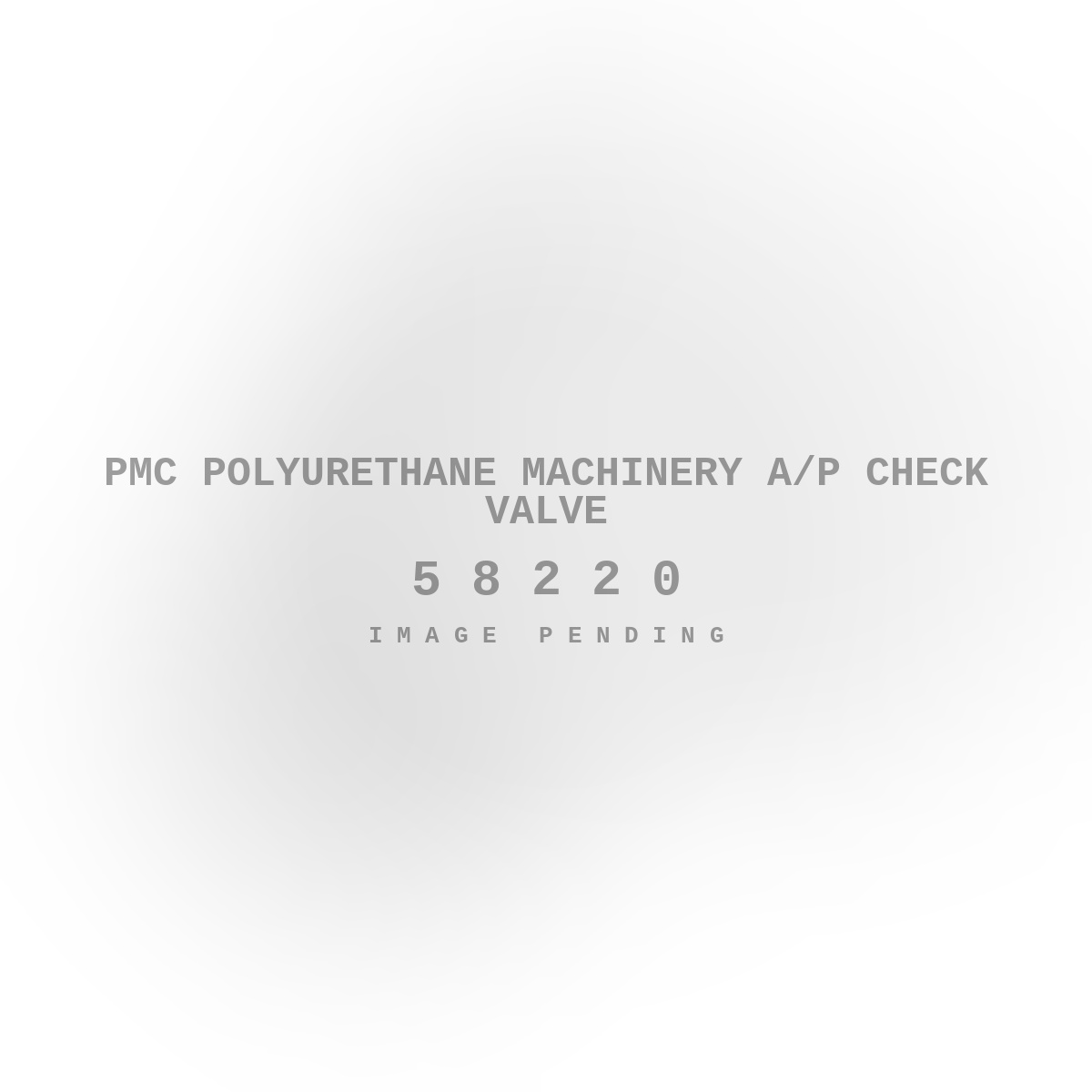 PMC Polyurethane Machinery A/p Check Valve