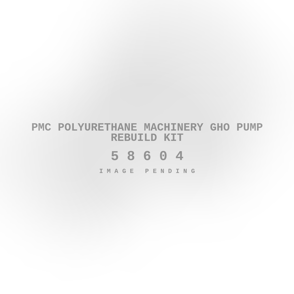 PMC Polyurethane Machinery Gho Pump Rebuild Kit