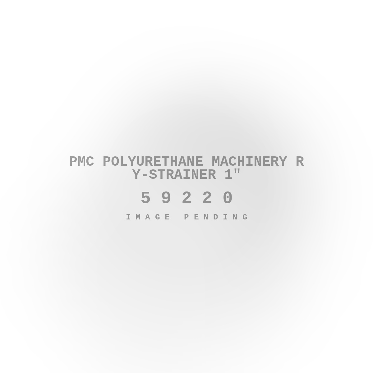 PMC Polyurethane Machinery R Y-Strainer 1"
