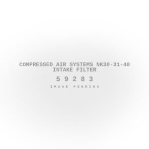 Compressed Air Systems NK30-31-40 Intake Filter