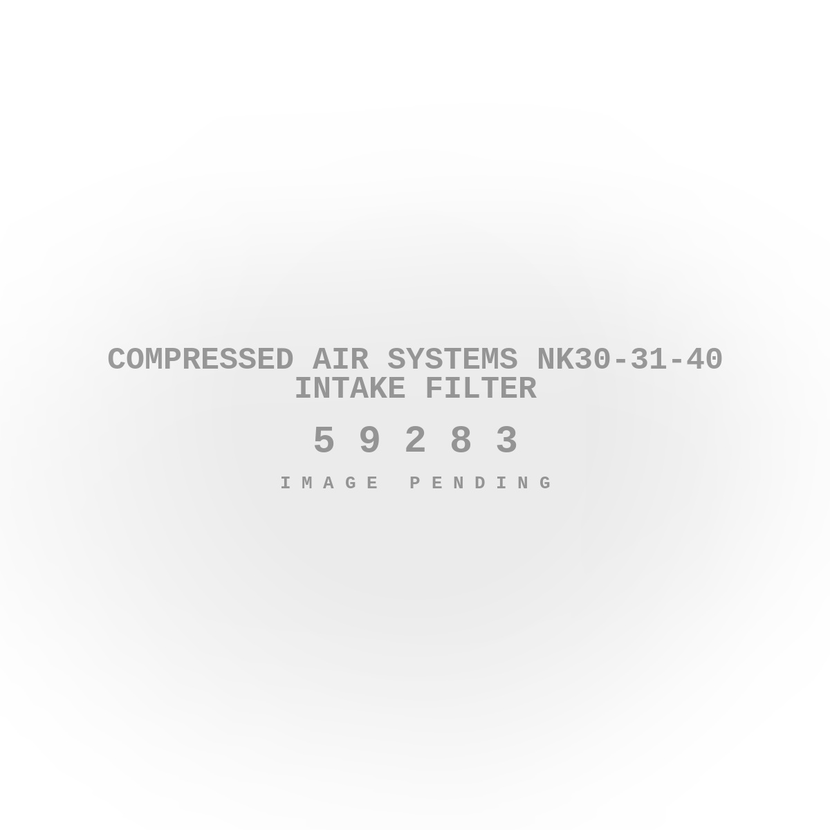 Compressed Air Systems NK30-31-40 Intake Filter