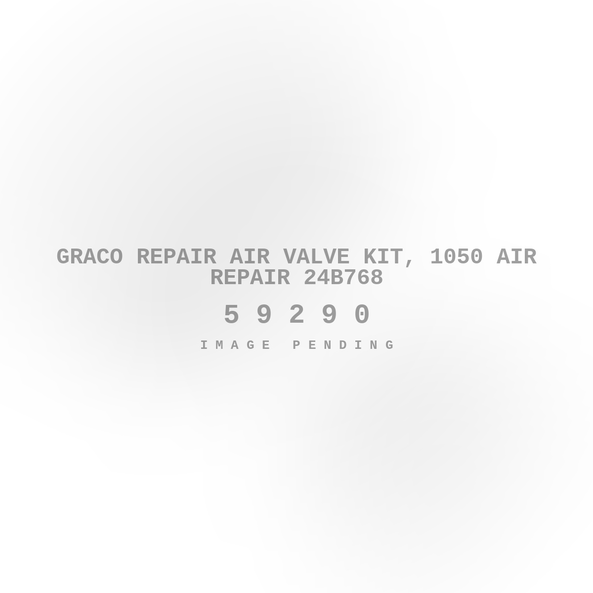 Graco Repair Air Valve Kit, 1050 Air Repair 24B768
