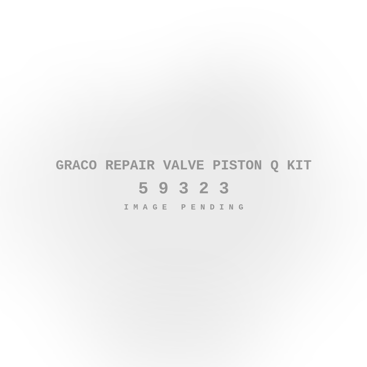 Graco Repair Valve Piston Q Kit